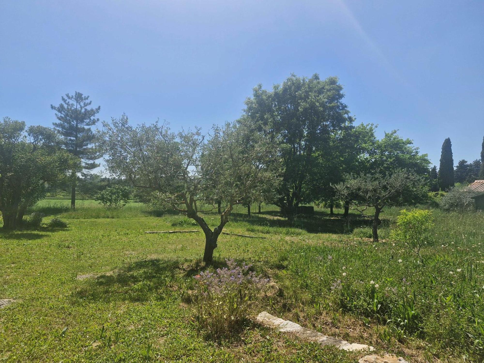 La Bastideta, Appartement Fayence Buitenkant foto